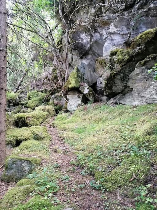 Guesthouse Hamran Mosvik 外观 照片