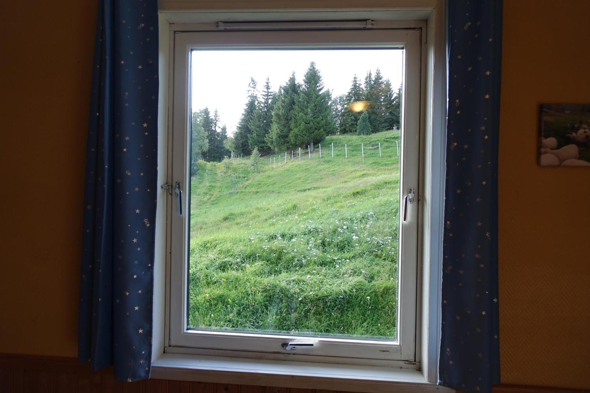 Guesthouse Hamran Mosvik 外观 照片